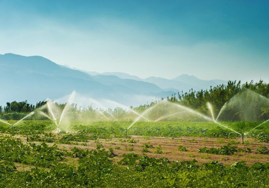 Charlotte Irrigation Systems - Irrigation Installation 2
